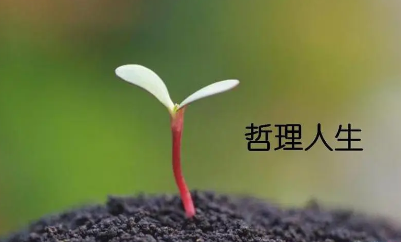 base64_image base64_image